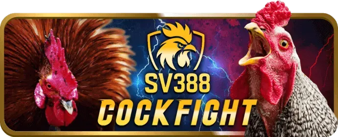 Ưu đãi chào mừng thành viên mới 66mb nhà cái